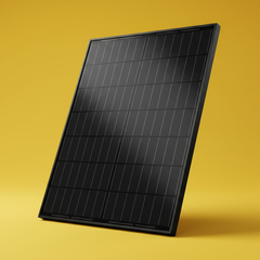 Collection image for: Les indispensables