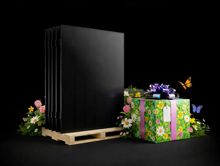 <h2>Offres de <span style="text-decoration:underline"><strong>SAISON </strong></span>🌺</h2>