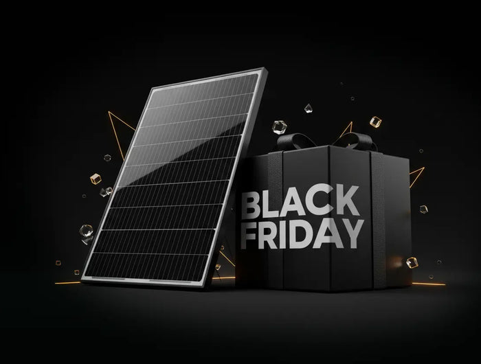 <h1>Offre <span style="text-decoration:underline"><strong>BLACK FRIDAY</strong></span></h1>